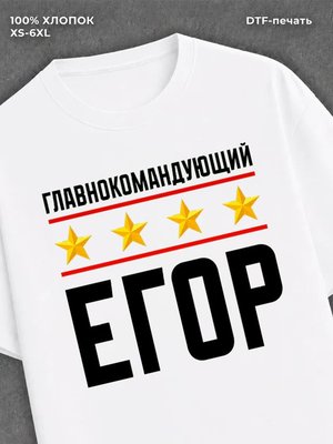 Футболка мужская именная главно
