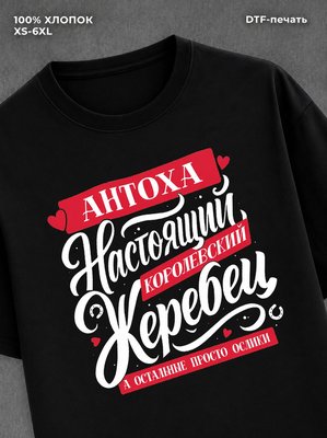 Футболка Антон