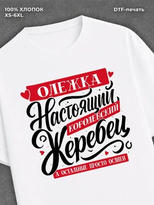 Футболка Олег