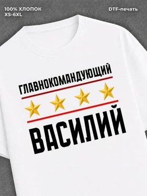 Футболка мужская именная главно
