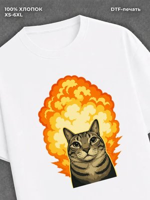 Футболка Мем с котом