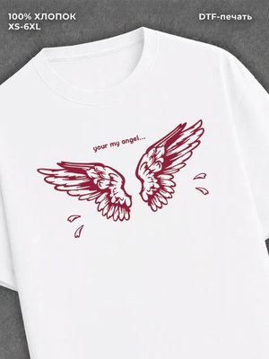 Футболка angelcore