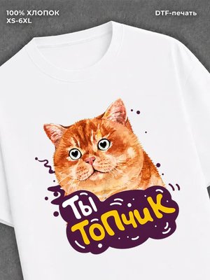 Футболка Ты топчик