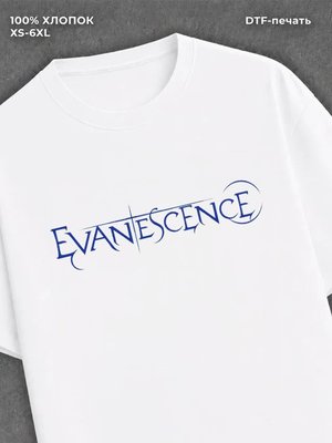 Футболка evanescence
