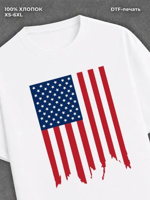 Футболка Флаг сша