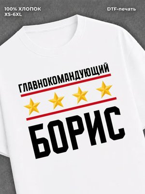 Футболка мужская именная главно