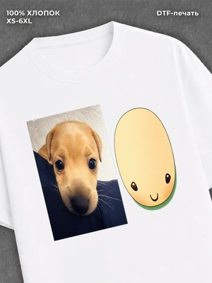 Футболка dog meme