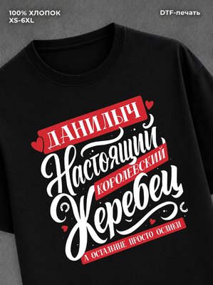 Футболка Имя Данил