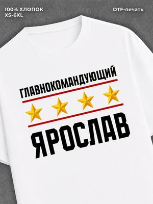 Футболка мужская именная главно
