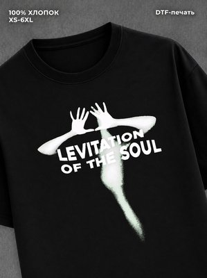 Футболка Levitation