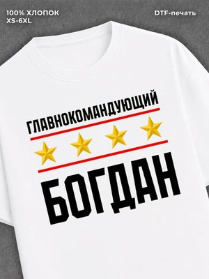 Футболка мужская именная главно
