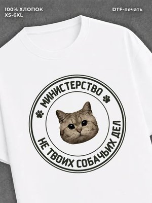 Футболка Министерство мем