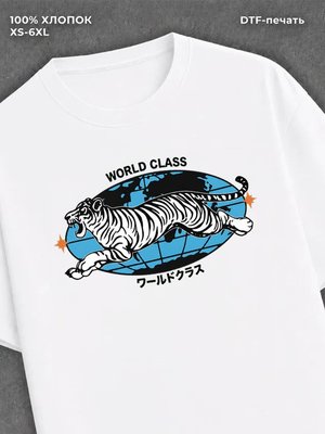 Футболка world glass