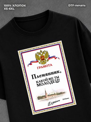 Футболка Племянник