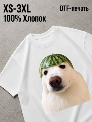 Футболка Мемы