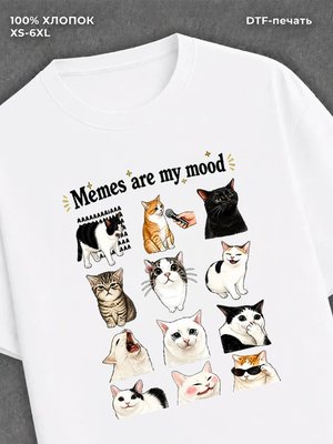 Футболка мемы котики