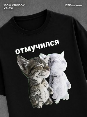 Футболка cat meme