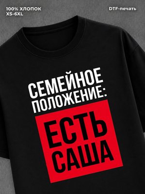 Футболка Семейное положение Саша Александр