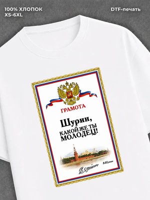 Футболка мужская именная Шурин