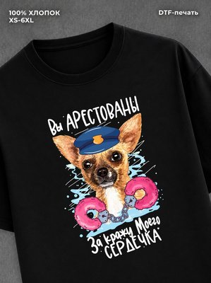Футболка Вы арестованы