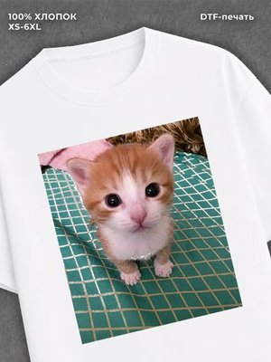 Футболка удлиненная