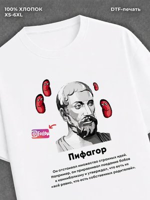 Футболка Пифагор