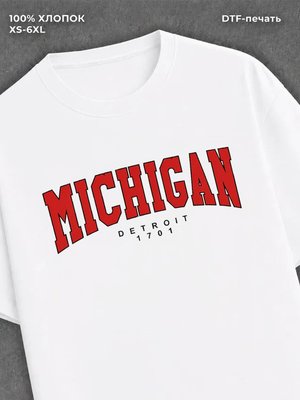 Футболка Michigan Detroit