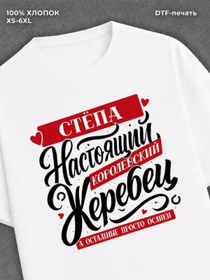 Футболка Степан