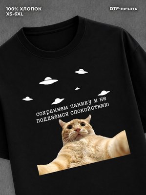 Футболка мемная