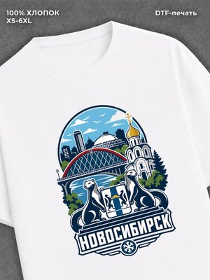 Футболка Новосибирск