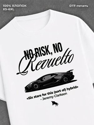 Футболка NO RISK NO Revuetto