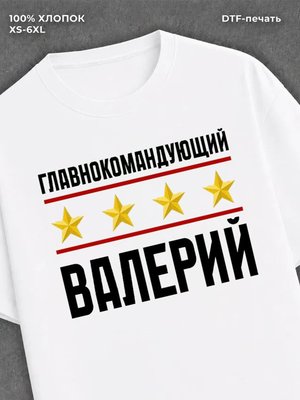 Футболка мужская именная главно