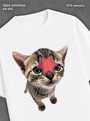 Футболка cat meme
