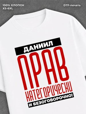 Футболка прикольная именная Даниил